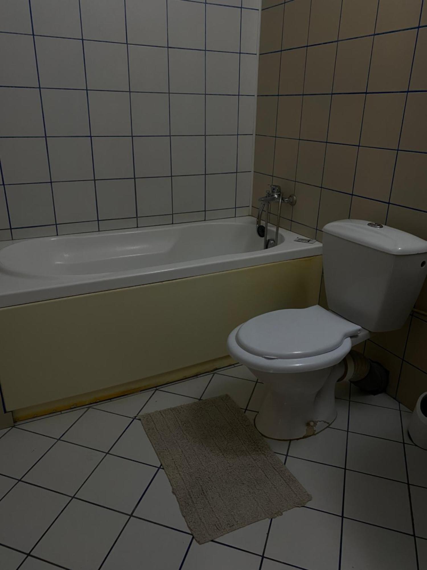ブカレストQuiet Garden Ground Floorアパートメント エクステリア 写真